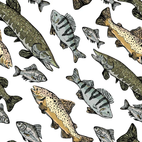 Trout, Perch, Pike, Crucian gerçekçi mürekkep çizimleri. Nehir balığının elle çizilmiş kusursuz deseni. Klasik renkli balıkçılık süsü. Duvar kağıtları, arkaplan, paket, tekstil, baskı, kumaş için tasarım