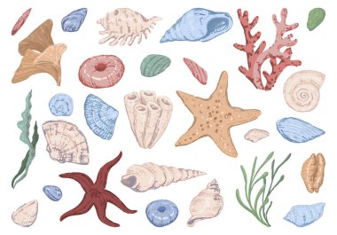 Deniz yıldızı, kabuk, taşlar, yosun, mercan. Bir dizi düz vektör çizimleri. Sualtı yaşam klipleri koleksiyonu beyaza izole edildi..