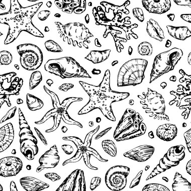 Soyut deniz süsü. Deniz yıldızı, deniz kabuğu, taş, yosun, mercan çizimleri. Su altı yaşamının kusursuz bir örneği. Retro tasarım biçimi..