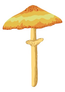 Zehirli mantar, soyut tarzda mantar. Beyaz arka planda izole edilmiş tek bir modern klipte. Çağdaş vektör illüstrasyonu.