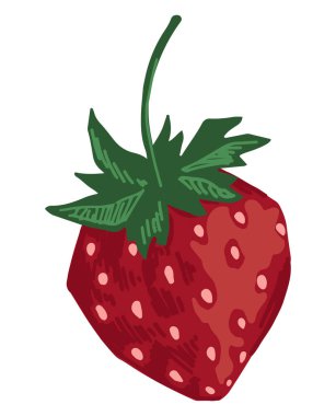 Çilek kırpma sanatı. Yenebilir yaz hasadı. Çizgi film vektör botanik çizimi beyaz arkaplanda izole edildi.