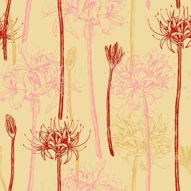 Örümcek zambağı çiçekleri kusursuz bir desen çiziyor. El yapımı egzotik bitkiler, Lycoris. Klasik çiçek süsü..