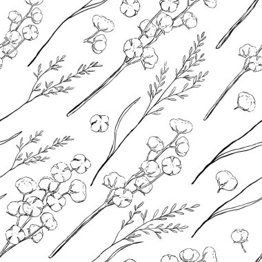 Vintage vektör pürüzsüz desen. Pamuk fabrikasının grafiksel çizimleri. Yumuşak pamuklu arka plan. El çizimi botanik duvar kağıdı izole edilmiş. Paket, kağıt, tekstil, kartpostal, baskı, kumaş vs. için.
