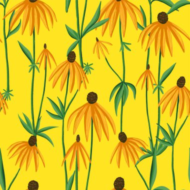Gri başlı koni çiçekleri dikişsiz desen oluşturur. Ekinezya kır çiçekleri renkli bir süs. Kumaş, tekstil, duvar kağıdı, arka plan, baskı, dekor için botanik klasik tasarımı. El çizimi vektör illüstrasyonu.