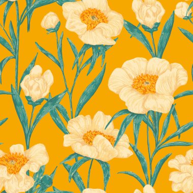 Şakayık Claire de Lune bitkileri pürüzsüz desen. El çizimi vektör çizimi. Gerçekçi botanik geçmişi. Kır çiçekleri eskizi. Renkli vintage tasarım, baskı, kumaş, tekstil, paket, duvar kağıdı.