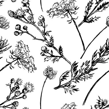 Vahşi bitkiler süsleme süsü. Elle çizilmiş vektör pürüzsüz desen. Çiçek süsü eski moda. Tasarım arka planı, dekor için klasik botanik tasarımı.