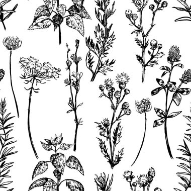 Yabani bitkiler, tarla çiçekleri soyut süsler. Elle çizilmiş vektör pürüzsüz desen. Eskiz tarzında çiçek süsü. Klasik botanik tasarımı.