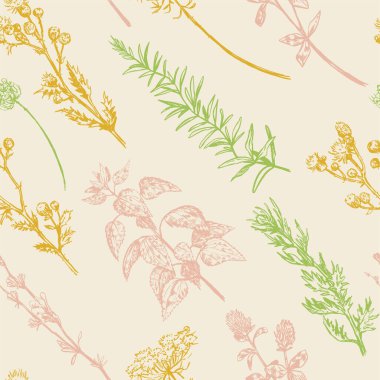 Yabani bitkiler, tarla çiçekleri soyut süsler. Elle çizilmiş vektör pürüzsüz desen. Eskiz tarzında çiçek süsü. Klasik botanik tasarımı.