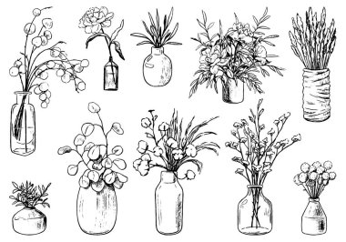 Çeşitli vazo, şişe, kavanoz dolusu çiçek ve bitki. El çizimi vektör çizimi. Klasik botanik seti. Dekoratif çiçek desenli elementler beyaza izole edilmiş. Tasarım için kullanılabilir.