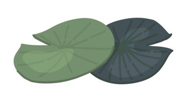 Gölette soyut su zambağı bitkisi, yeşil yaprak pedleri. Lotus çizgi film tarzında ayrılıyor. Beyaza izole edilmiş botanik klip sanatı. Tek vektör illüstrasyonu.