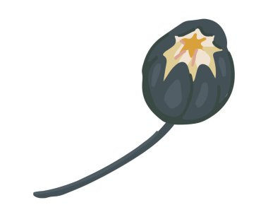 Soyut su zambağı bitkisi. Çizgi film tarzında nilüfer çiçeği. Beyaza izole edilmiş botanik klip sanatı. Tek vektör illüstrasyonu.