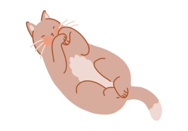 Tatlı uyuyan kedi. Evcil hayvan, kedi çizgi film sanatı. Düz vektör çizimi beyaz üzerine izole edildi.