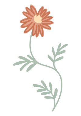 Basit bir çiçeğe tırman. El çizimi soyut botanik vektör çizimi beyaza izole edildi.