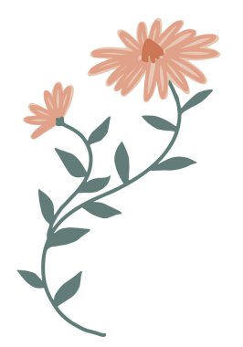 Basit bir çiçeğe tırman. El çizimi soyut botanik vektör çizimi beyaza izole edildi.