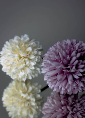 MIRROR REFLEKSİYONU ÇİÇEKLERİ