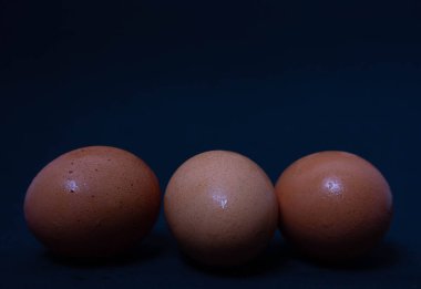 KARANLIK KARANLIĞI AYI GÖREVLERİ