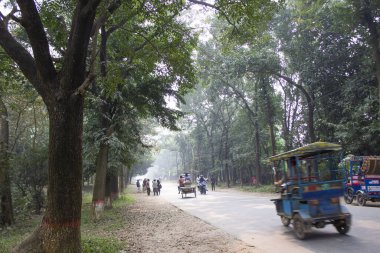 Jahangirnagar üniversite fotoğrafları, üniversite kampüs yolu, manzaralı güzelliğiyle tanınan, kampüs yolu, enstitünün kalbinde zikzak çizen pitoresk bir yola sahip..