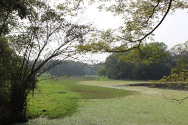 Jahangirnagar Gölü manzaralı bir üniversite manzarası vardır: nefes kesici Jahangirnagar Gölü..