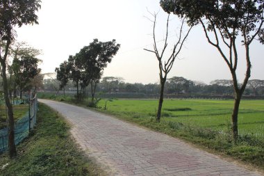 Manzaralı köy yolu manzarası, bir kartpostaldan fırlamış bir manzara gözlerinizin önünde beliriyor, sizi huzurlu bir köy cazibesi ve doğal güzelliğin cennetine götürüyor..