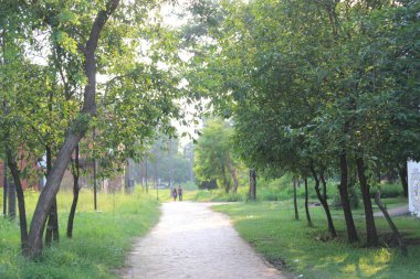 Üniversite yeşili kampüs ortamı, huzur ve sükunet duygusu ile kaplanmış, şehir yaşamının koşuşturma ve koşuşturmasından bir mola.