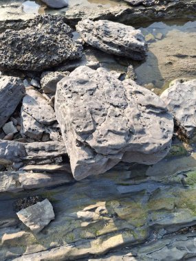 Güneş Işığında Doğal Bir Derenin Yakınındaki Yıpranmış Kaya oluşumları