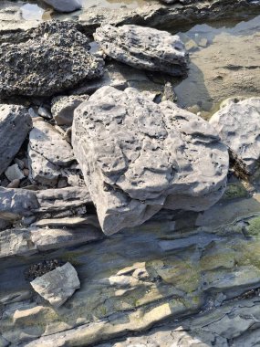 Güneş Işığında Doğal Bir Derenin Yakınındaki Yıpranmış Kaya oluşumları