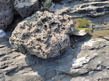 Metinde plaj şeridinde doğal delikleri olan aşınmış bir kaya oluşumundan bahsediliyor..