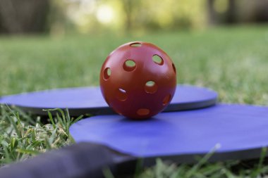 Mavi yankesiciler ve kırmızı top, yeşil sahada. 