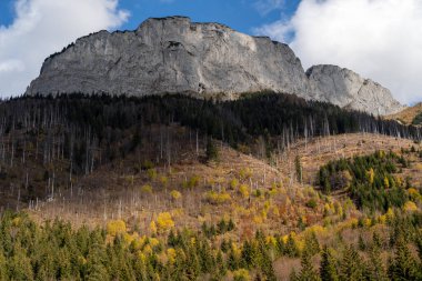 Kayalık dağlar ve ağaçlarla dolu sonbahar manzarası