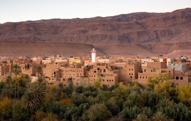 Palmiye ağaçları ve Mekong nehri.