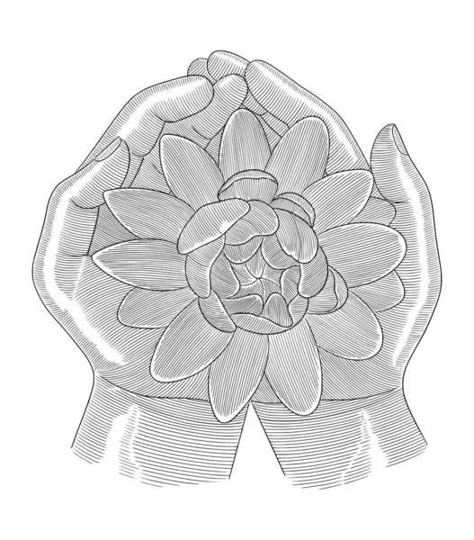 Üzerinde nilüfer çiçekleri olan dua eden eller, eski gravür tarzı çizimler.