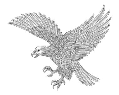 Kel kartal saldırıyor, Vintage oyma stili vektör çizimi