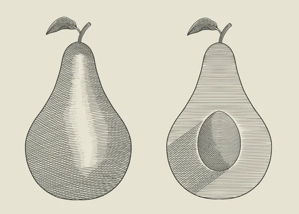 Avokado ve dilimlenmiş parçalar, el çizimi vintage oyma stili vektör illüstrasyonu