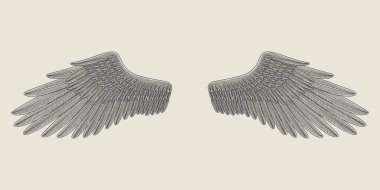 Melek kanatları ya da kuş seti, Vintage oyma tarzı çizimler