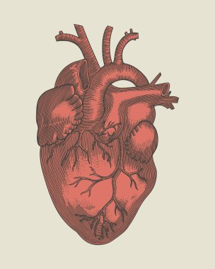 Antik bir insan kalbinin oymalı çerçeve ve süslemeli vektör çizimi