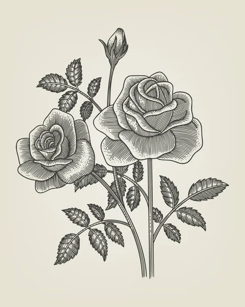 Gül çiçeği. el çizimi vintage oyma biçimi 