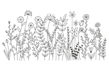 Beyaz arka planda izole edilmiş güzel çiçekler. vektör illüstrasyonu