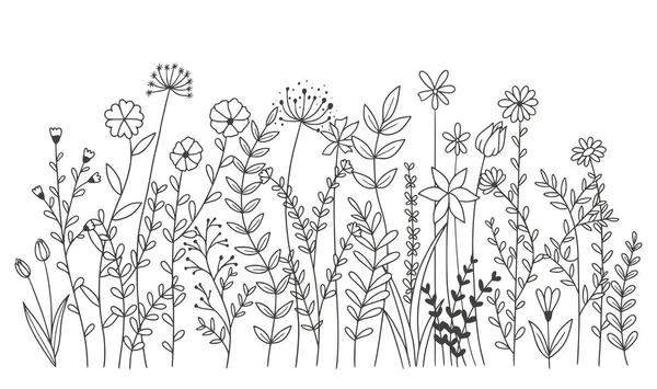 Beyaz arka planda izole edilmiş güzel çiçekler. vektör illüstrasyonu