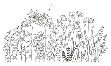 Beyaz arka planda izole edilmiş güzel çiçekler. vektör illüstrasyonu