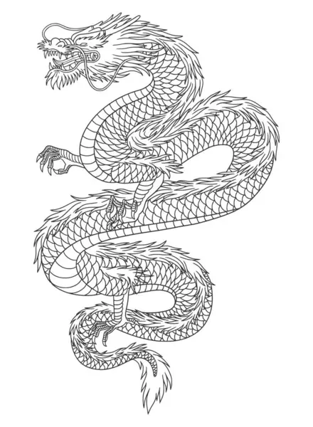 Beyaz arka planda izole edilmiş Japon ejderhası çizgisi. vektör yanılsaması