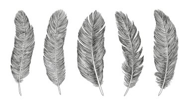 Tüylü simge seti. El çizimi çizimi. Karalama çizimi.