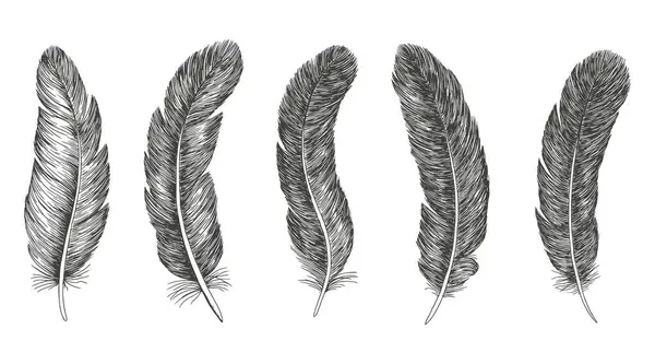 Tüylü simge seti. El çizimi çizimi. Karalama çizimi.