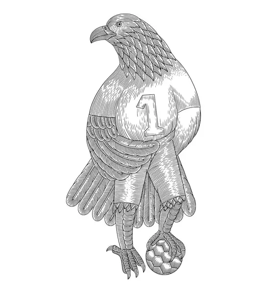 Águia Mascote Futebol Vintage Gravura Desenho Estilo Ilustração Ilustração De Stock