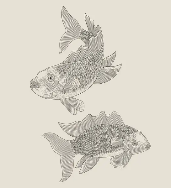 Две Золотые Рыбки Винтажная Гравировка Рисунок Стиль Иллюстрации Лицензионные Стоковые Векторы