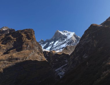 Annapurna Merkez Kampı 'nın Himalayalar' daki Machapuchare veya Fishtail dağı zirvesi, Nepal.