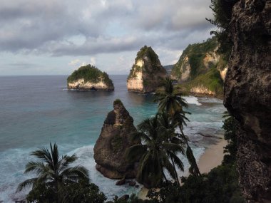 Turkuaz denizi, hindistan cevizi palmiye ağaçları, Nusa Penida Adası, Endonezya 'daki elmas plajları ve uçurumları.