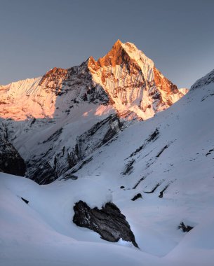 Himalaya sıradağlarındaki balık kuyruklu Machapuchare dağı günbatımında