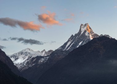 Himalaya Annapurna dağlarındaki Machapuchare ya da Balıkkuyruklu dağ zirvesi renkli günbatımında