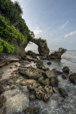 Tropikal Shaheed Dweep veya Neil adası Andaman ve Nicobar takımadalarının kayalık manzaralı kıyılarında doğal köprü kemeri