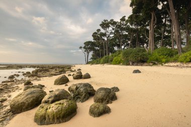 Andaman ve Nicobar takımadalarındaki Neil veya Shaheed Dweep adalarındaki Lakshmanpur plajı
